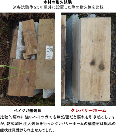 木材の耐久試験の写真